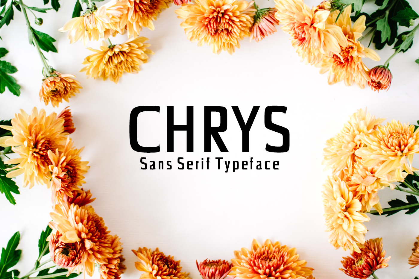 Chrys: A Modern Sans Serif for Real Projects