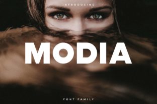 Modia: A Modern Sans Serif for Real Projects