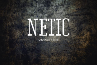 Netic: A Bold Serif Font for Business Branding