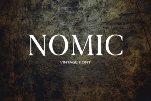 Nomic: A Font That Elevates Business Branding