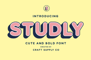 Studly Family: A Bold Typographic Statement