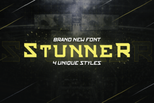 Stunner Family: Bold Typography for Business